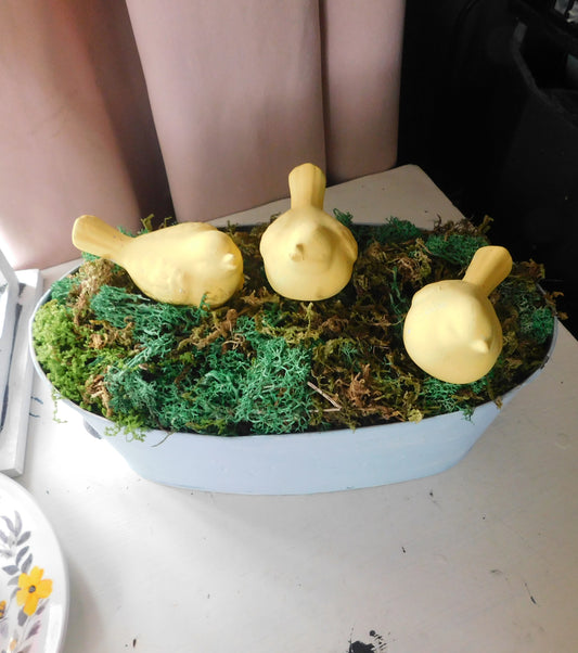 Baby Chickens in Arrangement