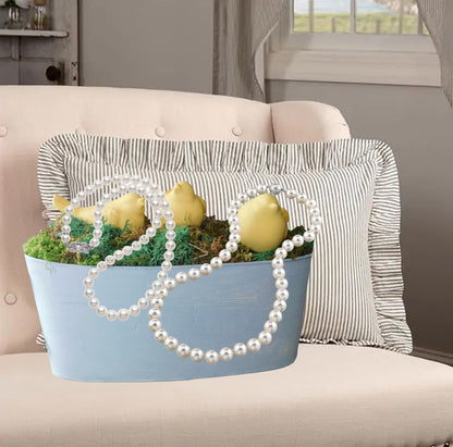 Chicks in Blue Bowl