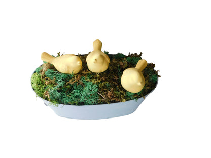 Chicks in Blue Bowl
