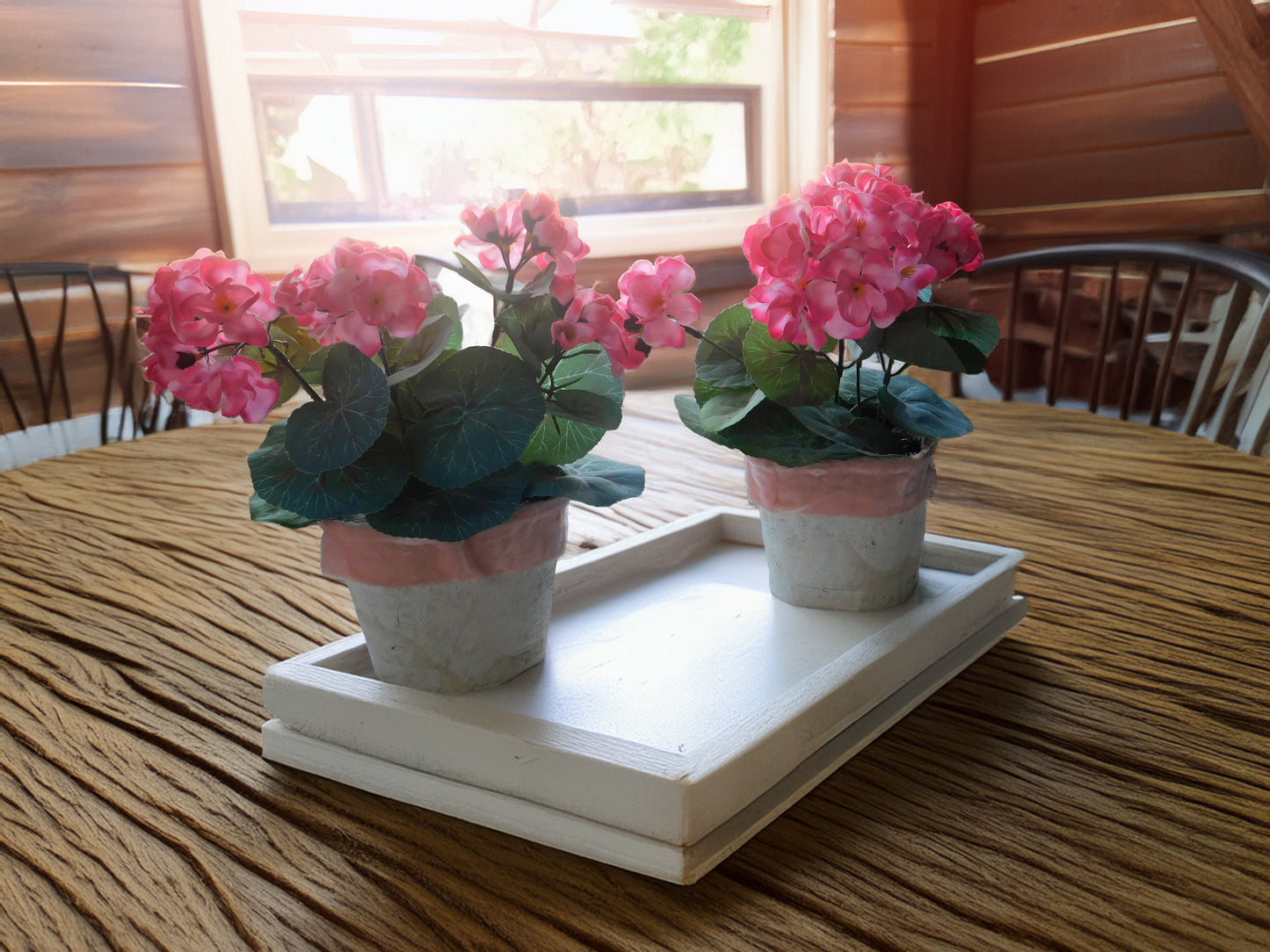 2 Potted Pink Geraniums